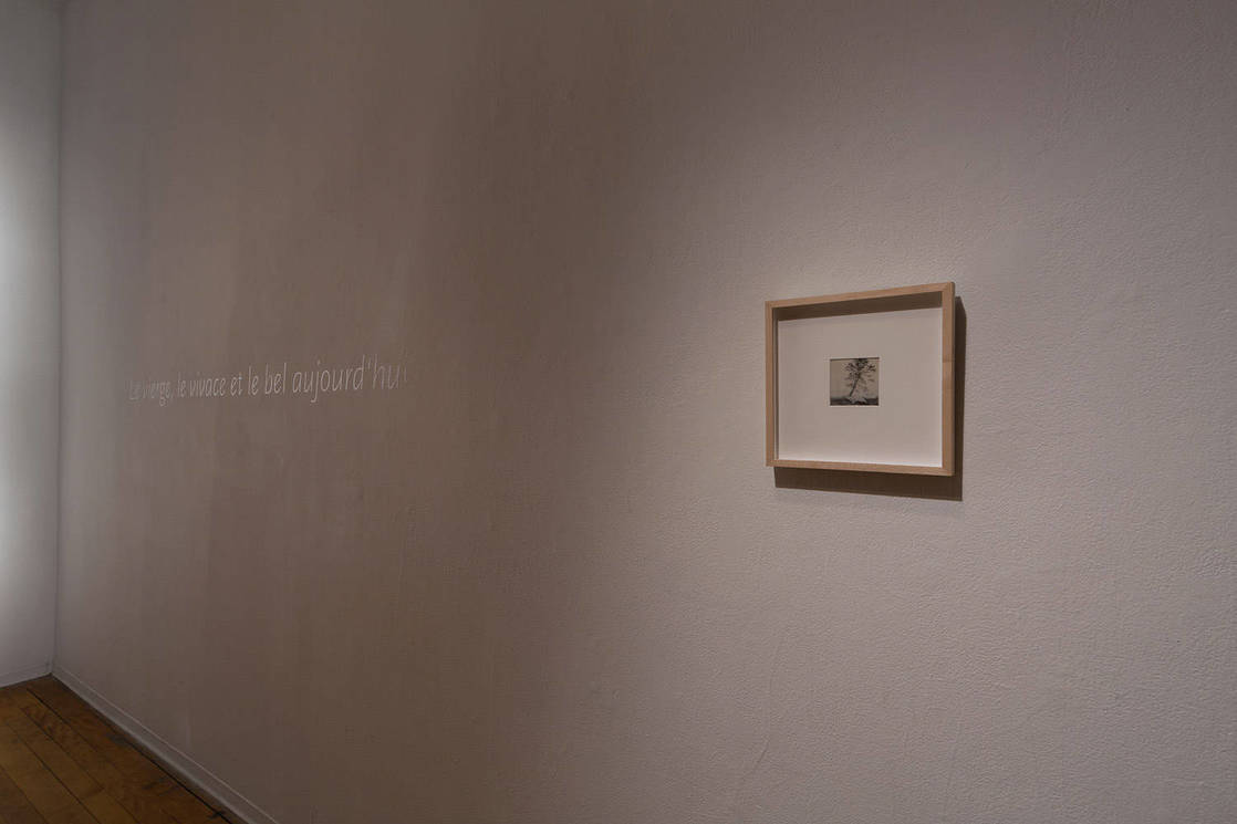 Before the first Light (installation view)